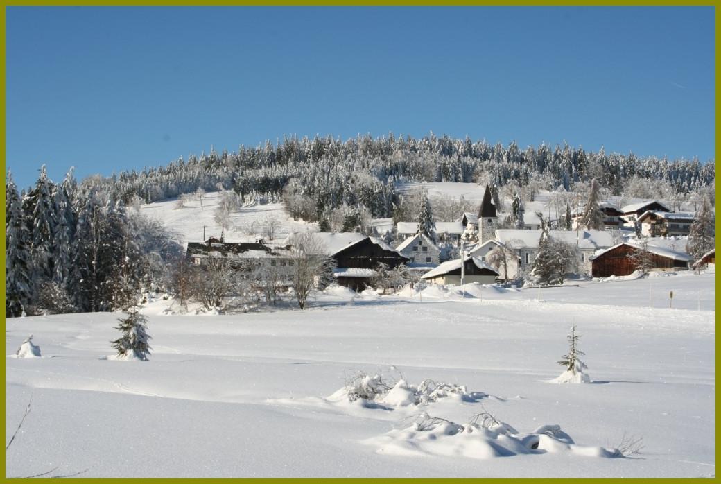 Pension Philippsreut "Zum Pfenniggeiger" Am Goldsteigwanderweg Esterno foto