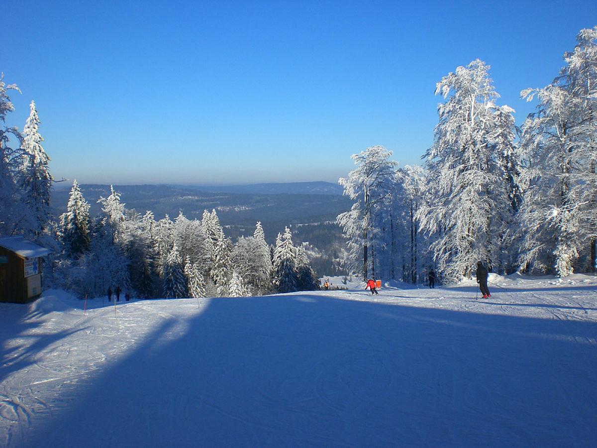 Pension Philippsreut "Zum Pfenniggeiger" Am Goldsteigwanderweg Esterno foto