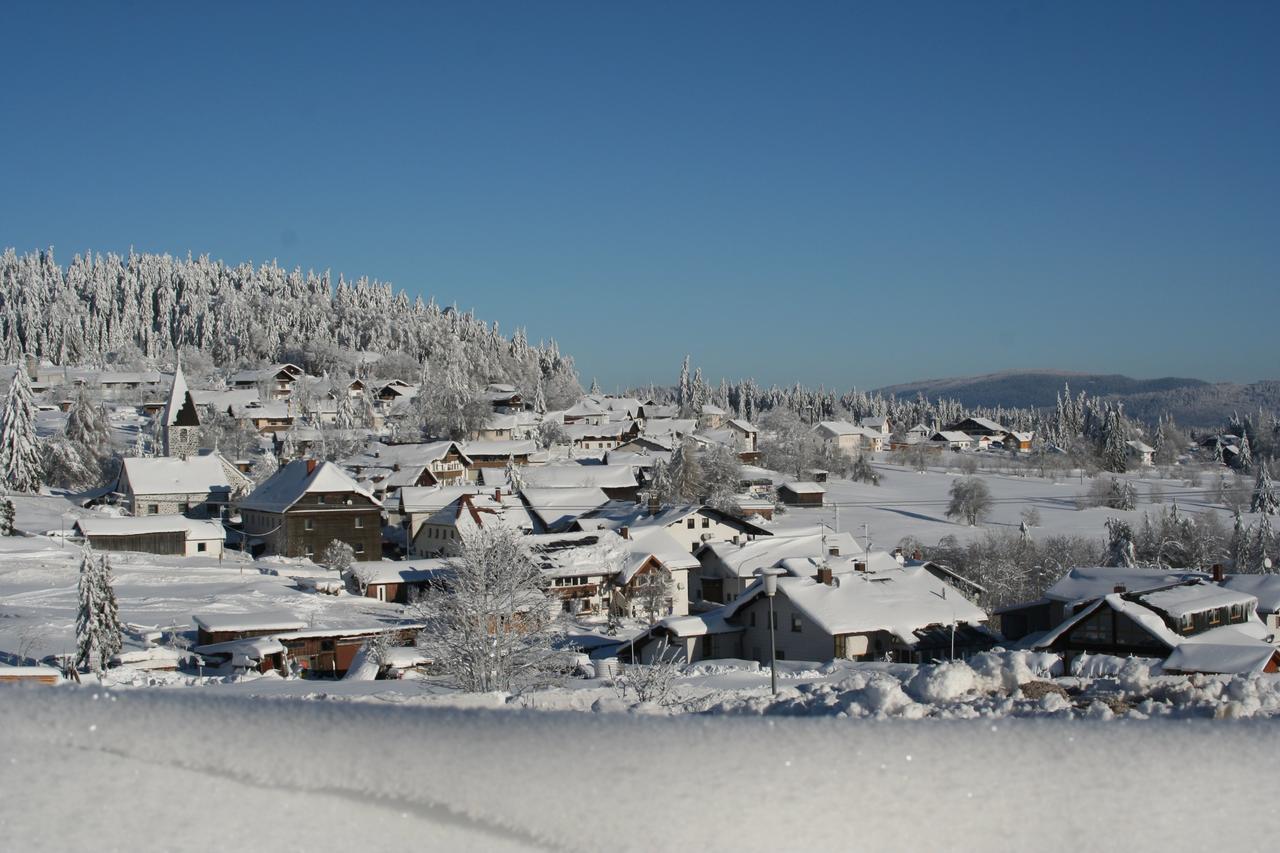 Pension Philippsreut "Zum Pfenniggeiger" Am Goldsteigwanderweg Esterno foto