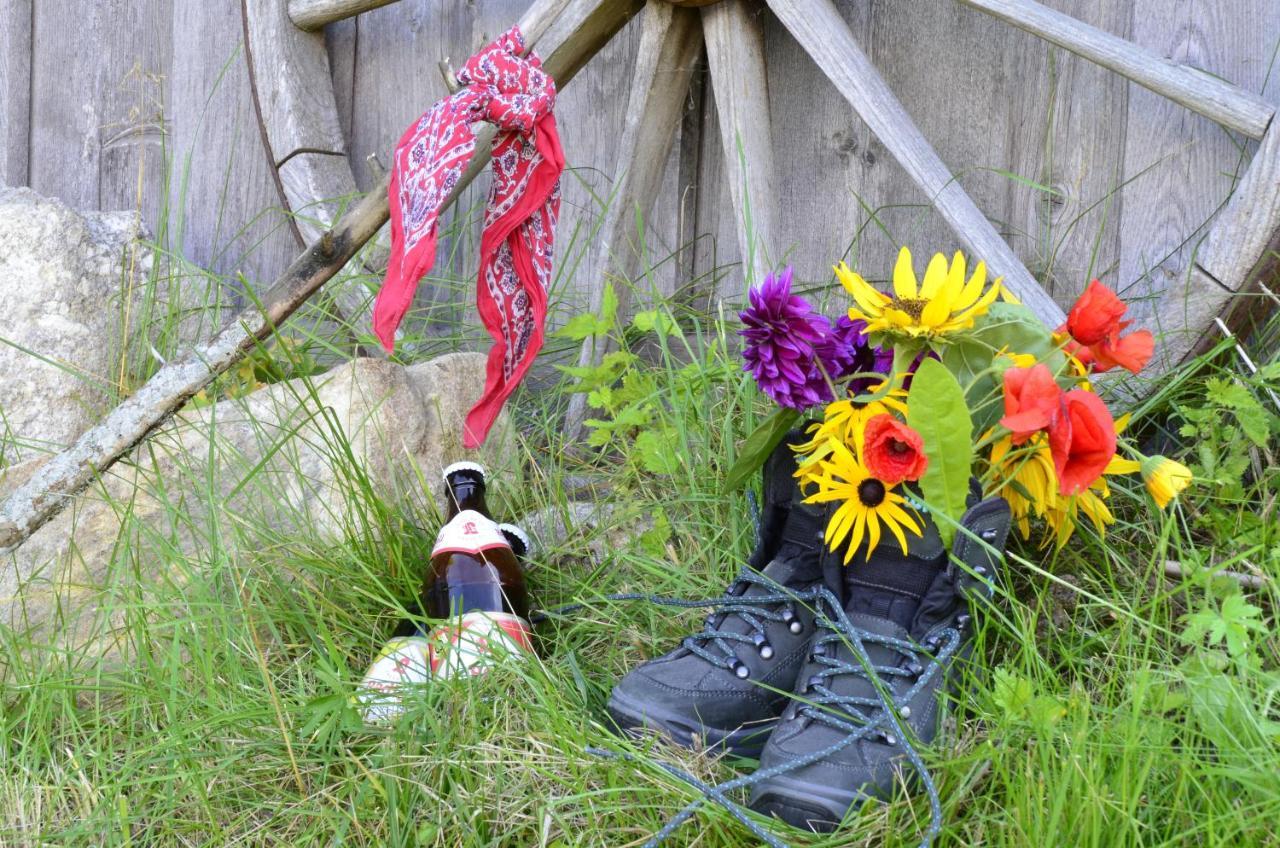 Pension Philippsreut "Zum Pfenniggeiger" Am Goldsteigwanderweg Esterno foto