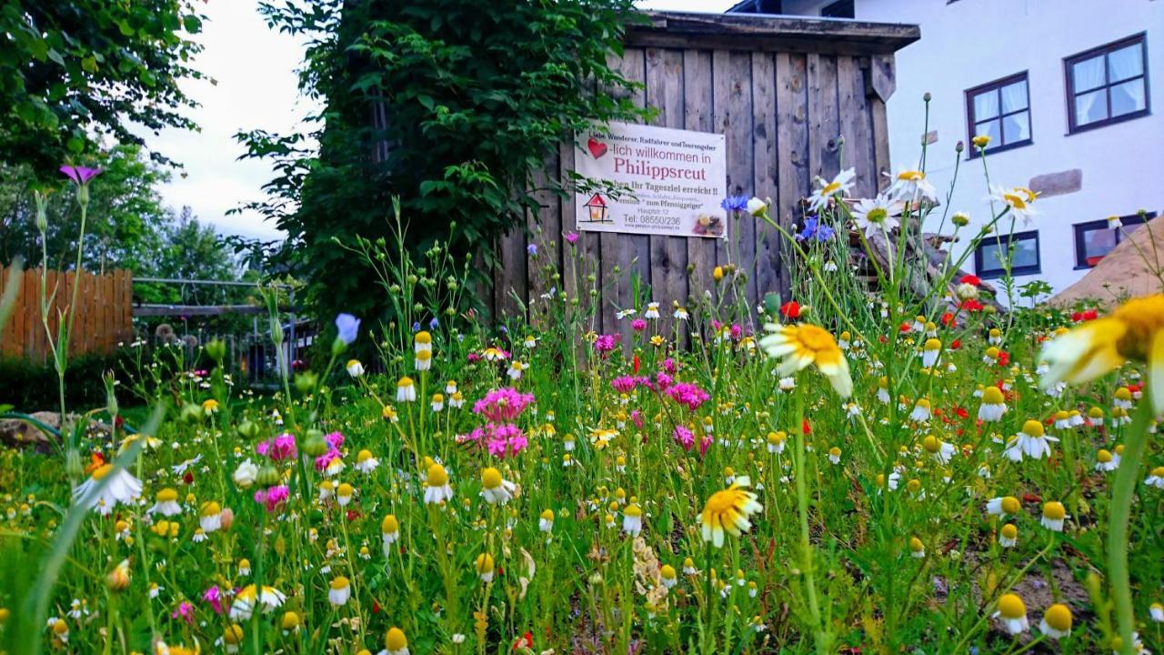 Pension Philippsreut "Zum Pfenniggeiger" Am Goldsteigwanderweg Esterno foto