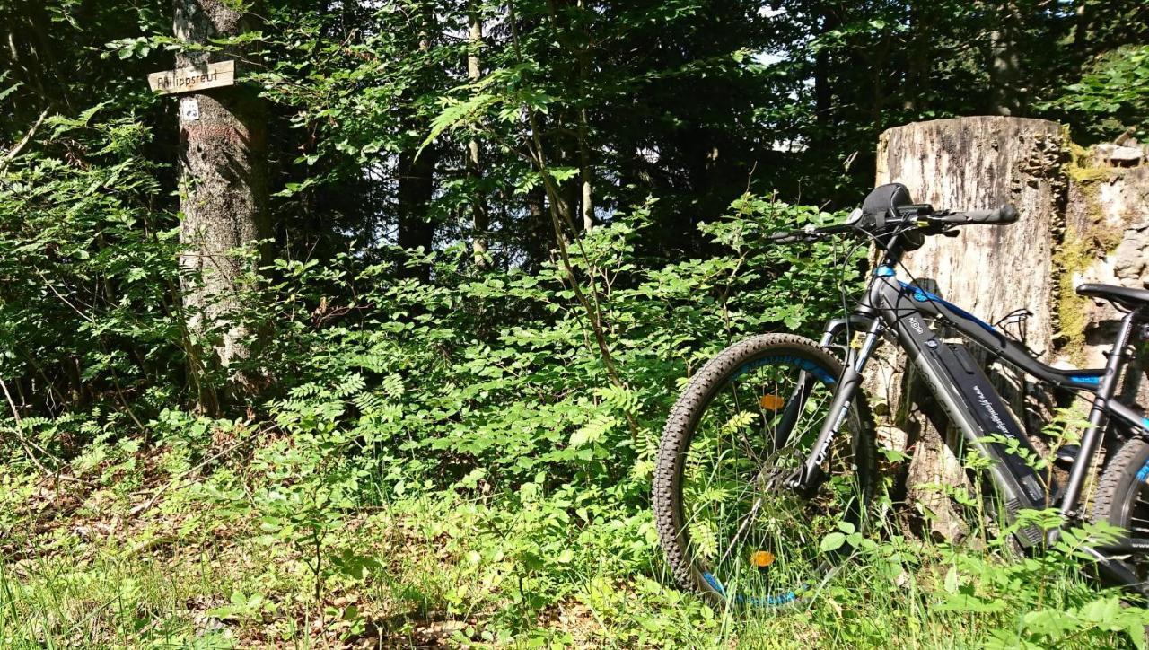 Pension Philippsreut "Zum Pfenniggeiger" Am Goldsteigwanderweg Esterno foto